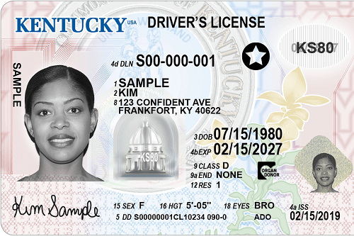 Registered US Driving License